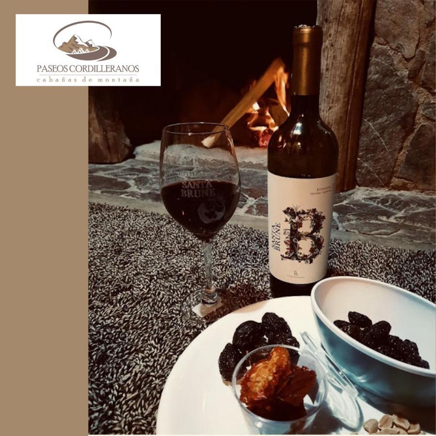 Cabana 17 Potrerillos Villa Mendoza Dış mekan fotoğraf