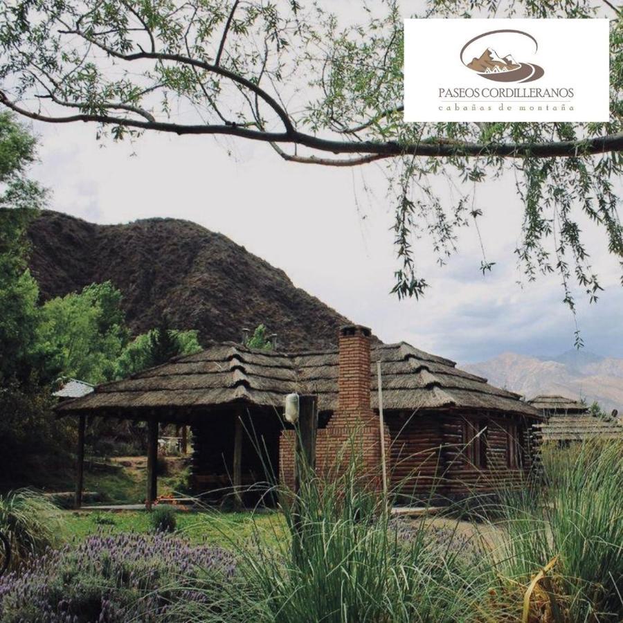 Cabana 17 Potrerillos Villa Mendoza Dış mekan fotoğraf